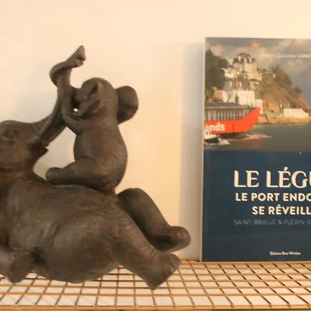 Apartment Superbe Entre Le Port Et Le Centre - Lit King-size, Wifi & Netflix Gratuit Saint-Brieuc